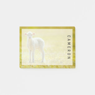 Kutest Baby Animals   Jonge schapen Post-it® Notes