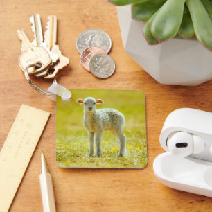 Kutest Baby Animals Jonge schapen Sleutelhanger