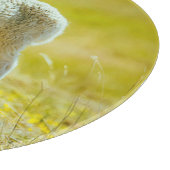 Kutest Baby Animals | Jonge schapen Snijplank (Hoek)