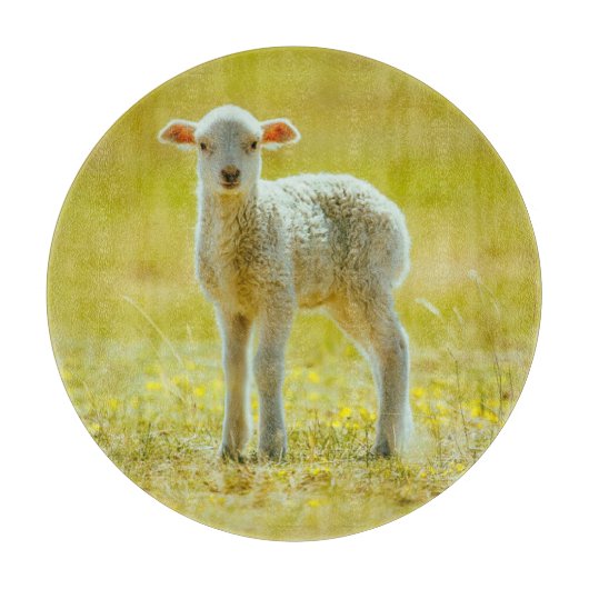 Kutest Baby Animals | Jonge schapen Snijplank (Voorkant)