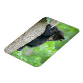 Kutest Baby Animals | Jonge zwarte Beer Cub Magneet (Linkerzijde)