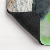 Kutest Baby Animals | Jonge zwarte Beer Cub Muismat (Hoek)