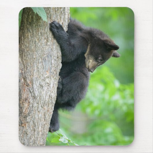 Kutest Baby Animals | Jonge zwarte Beer Cub Muismat (Voorkant)