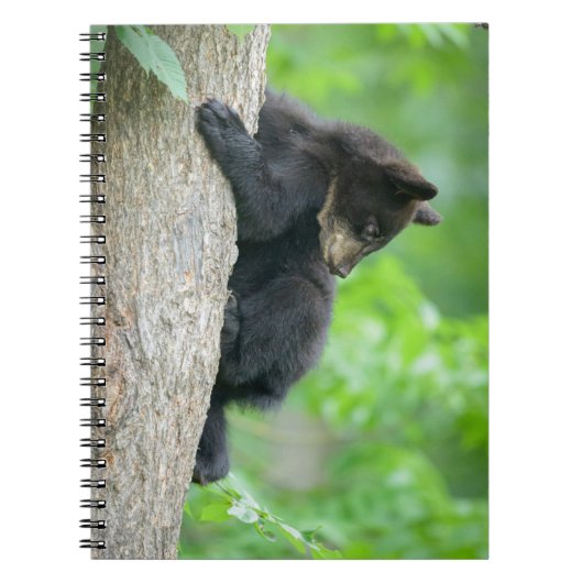 Kutest Baby Animals | Jonge zwarte Beer Cub Notitieboek (Voorkant)