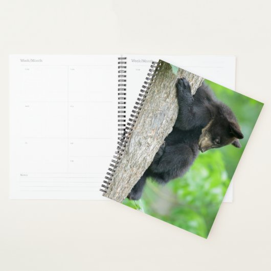 Kutest Baby Animals | Jonge zwarte Beer Cub Planner (Display)