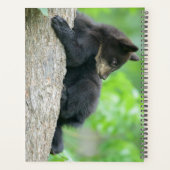 Kutest Baby Animals | Jonge zwarte Beer Cub Planner (Achterkant)