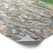 Kutest Baby Animals | Jonge zwarte Beer Cub Poster (Hoek)