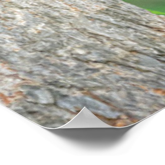 Kutest Baby Animals | Jonge zwarte Beer Cub Poster (Hoek)