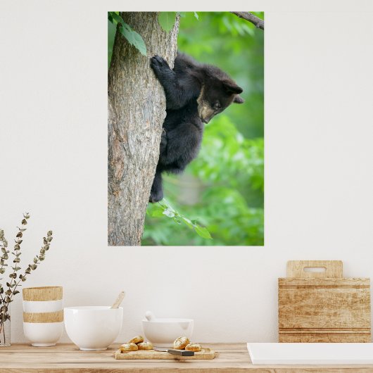 Kutest Baby Animals | Jonge zwarte Beer Cub Poster (Keuken)