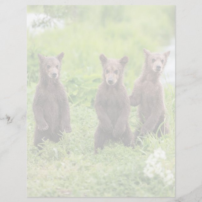 Kutest Baby Animals | Kamchatka Brown Beer Cubs (Voorkant)
