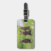 Kutest Baby Animals | Kamchatka Brown Beer Cubs Bagagelabel (Voorkant verticaal)