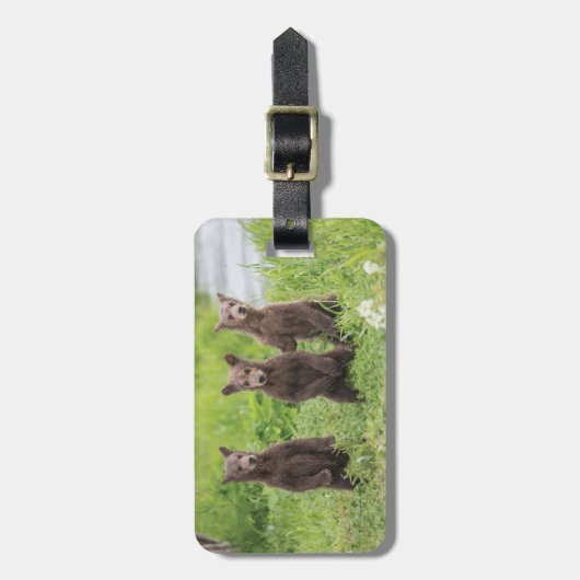 Kutest Baby Animals | Kamchatka Brown Beer Cubs Bagagelabel (Voorkant verticaal)