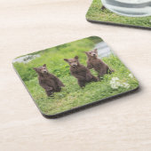 Kutest Baby Animals | Kamchatka Brown Beer Cubs Bier Onderzetter (Linkerzijde)