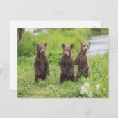 Kutest Baby Animals | Kamchatka Brown Beer Cubs Briefkaart (Voorkant / Achterkant)