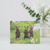 Kutest Baby Animals | Kamchatka Brown Beer Cubs Briefkaart (Staand voorkant)