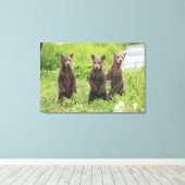 Kutest Baby Animals | Kamchatka Brown Beer Cubs Canvas Afdruk (Insitu (Houten vloer))