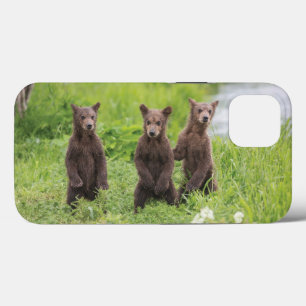 Kutest Baby Animals Kamchatka Brown Beer Cubs Case-Mate iPhone Case