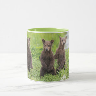 Kutest Baby Animals   Kamchatka Brown Beer Cubs Mok