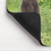 Kutest Baby Animals | Kamchatka Brown Beer Cubs Muismat (Hoek)