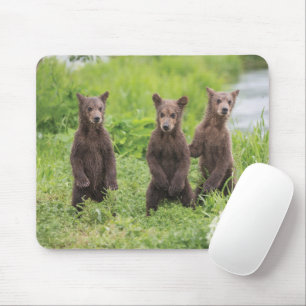 Kutest Baby Animals   Kamchatka Brown Beer Cubs Muismat