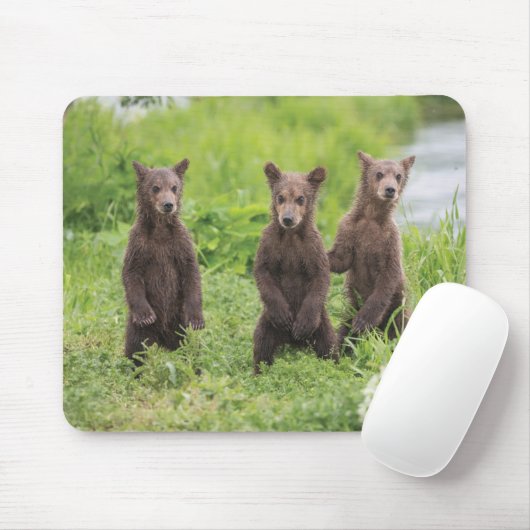 Kutest Baby Animals | Kamchatka Brown Beer Cubs Muismat (Met muis)