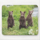 Kutest Baby Animals | Kamchatka Brown Beer Cubs Muismat (Voorkant)