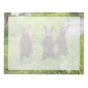 Kutest Baby Animals   Kamchatka Brown Beer Cubs Notitieblok