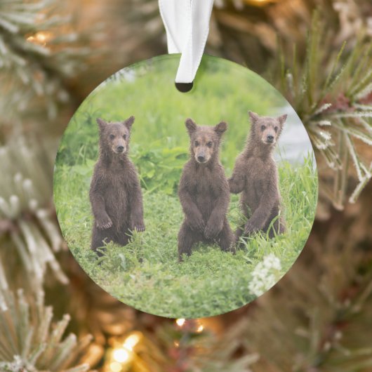 Kutest Baby Animals | Kamchatka Brown Beer Cubs Ornament (Boom)
