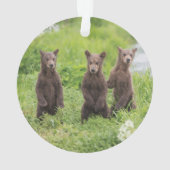 Kutest Baby Animals | Kamchatka Brown Beer Cubs Ornament (achterkant)
