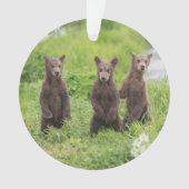 Kutest Baby Animals | Kamchatka Brown Beer Cubs Ornament (voorkant)
