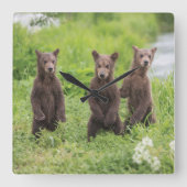 Kutest Baby Animals | Kamchatka Brown Beer Cubs Vierkante Klok (Voorkant)