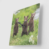 Kutest Baby Animals | Kamchatka Brown Beer Cubs Vierkante Klok (Hoek)