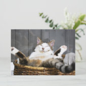 Kutest Baby Animals | Kat in bed Bedankkaart (Staand voorkant)