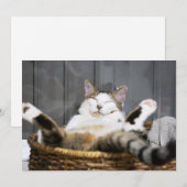 Kutest Baby Animals | Kat in bed Bedankkaart (Voorkant / Achterkant)