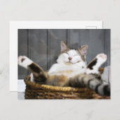 Kutest Baby Animals | Kat in bed Briefkaart (Voorkant / Achterkant)