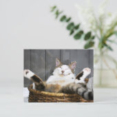 Kutest Baby Animals | Kat in bed Briefkaart (Staand voorkant)