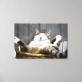 Kutest Baby Animals | Kat in bed Canvas Afdruk (Voorkant)