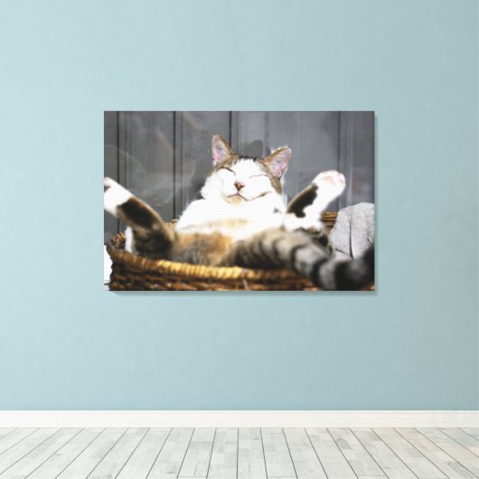 Kutest Baby Animals | Kat in bed Canvas Afdruk (Insitu (Houten vloer))