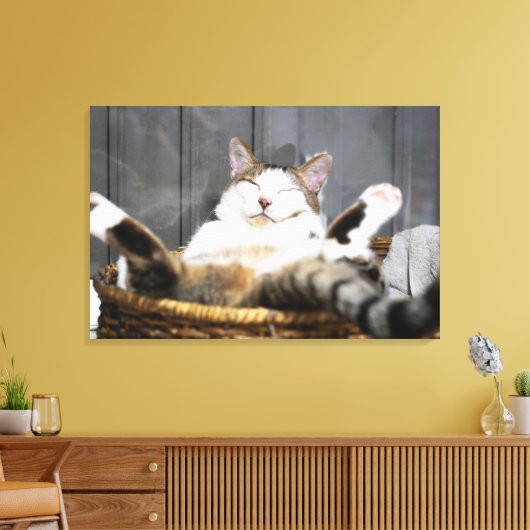 Kutest Baby Animals | Kat in bed Canvas Afdruk (Insitu (Woonkamer))