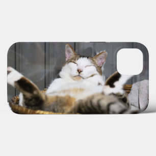 Kutest Baby Animals   Kat in bed Case-Mate iPhone Case
