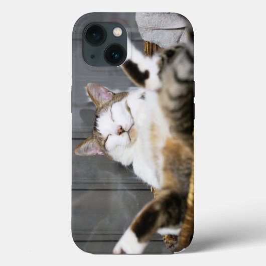 Kutest Baby Animals | Kat in bed Case-Mate iPhone Case (Achterkant)