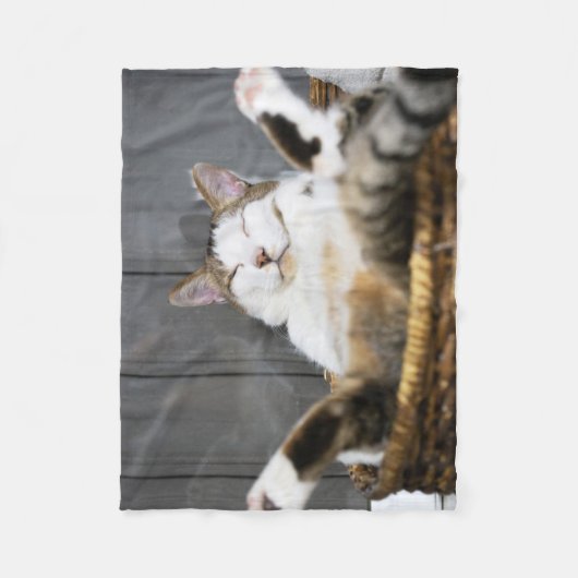 Kutest Baby Animals | Kat in bed Fleece Deken (Voorkant)