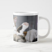 Kutest Baby Animals | Kat in bed Grote Koffiekop (Rechts)