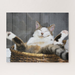 Kutest Baby Animals   Kat in bed Legpuzzel
