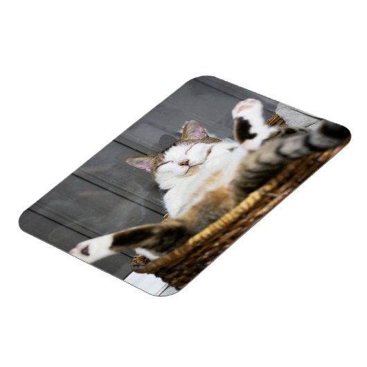 Kutest Baby Animals | Kat in bed Magneet (Linkerzijde)