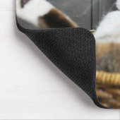 Kutest Baby Animals | Kat in bed Muismat (Hoek)