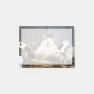 Kutest Baby Animals Kat in bed Post-it® Notes