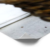 Kutest Baby Animals | Kat in bed Poster (Hoek)