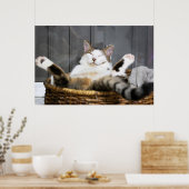 Kutest Baby Animals | Kat in bed Poster (Keuken)
