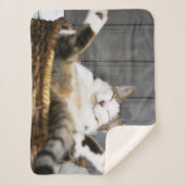 Kutest Baby Animals | Kat in bed Sherpa Deken (Voorkant)